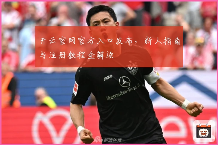 开云官网官方入口发布，新人指南与注册教程全解读