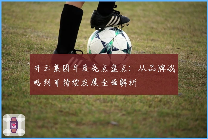 开云集团年度亮点盘点：从品牌战略到可持续发展全面解析