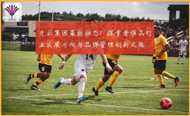 开云集团最新动态：探索奢侈品行业发展方向与品牌管理创新之路